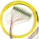 FC/APC fiber optic pigtail 12 pack single mode